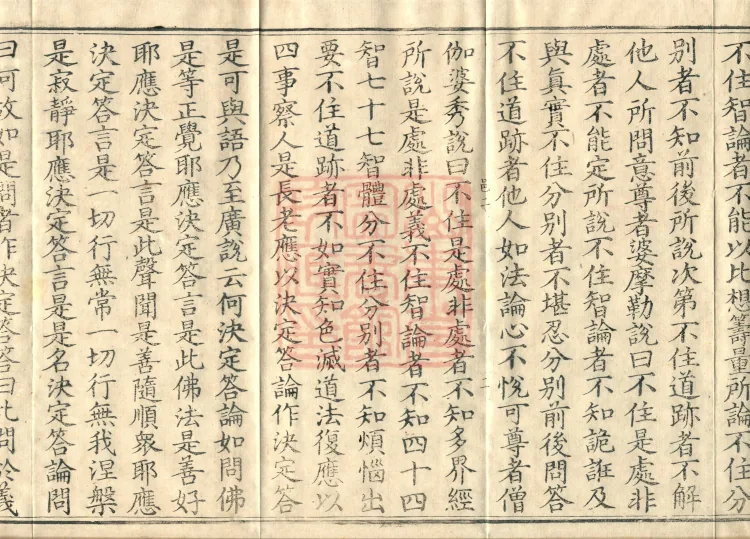 Abhidharma Vibhāṣa (Eighty-two Volumes) Page 4