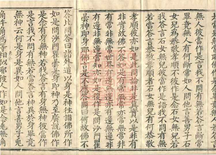 Abhidharma Vibhāṣa (Eighty-two Volumes) Page 8