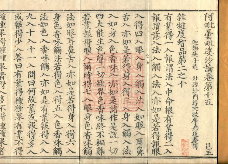 Abhidharma Vibhāṣa (Eighty-two Volumes) Page 2