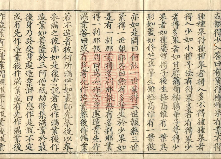 Abhidharma Vibhāṣa (Eighty-two Volumes) Page 3