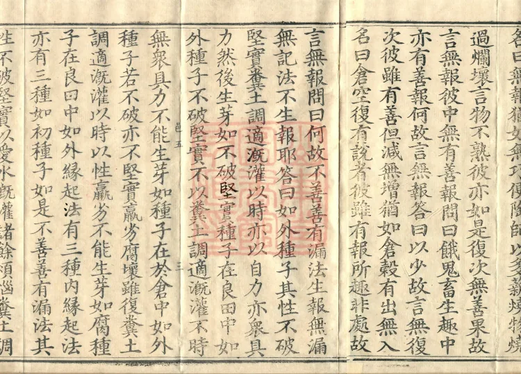 Abhidharma Vibhāṣa (Eighty-two Volumes) Page 5