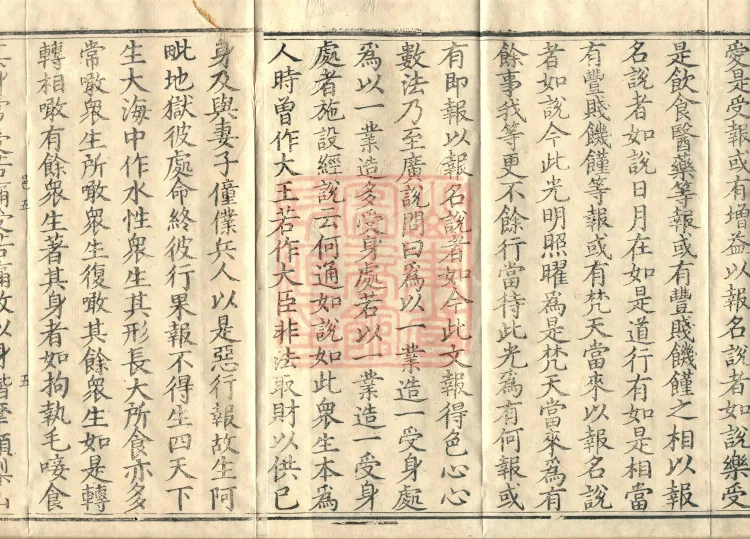 Abhidharma Vibhāṣa (Eighty-two Volumes) Page 8