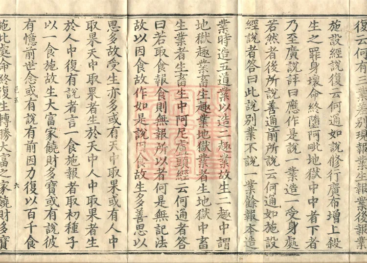 Abhidharma Vibhāṣa (Eighty-two Volumes) Page 10
