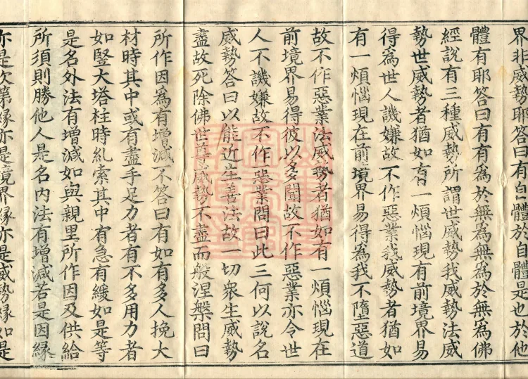 Abhidharma Vibhāṣa (Eighty-two Volumes) Page 6