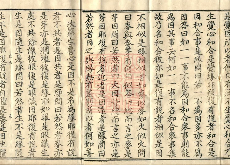 Abhidharma Vibhāṣa (Eighty-two Volumes) Page 8