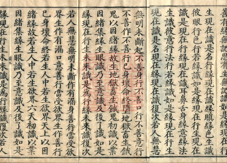 Śāriputra Abhidharma Treatise, 30 Fascicles Page 10