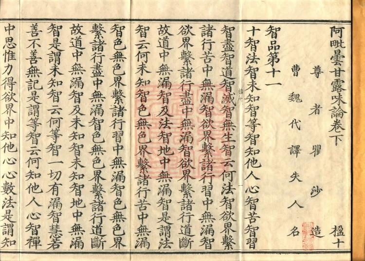 Abhidharma Treatise on the Taste of Nectar, Two Volumes Page 2