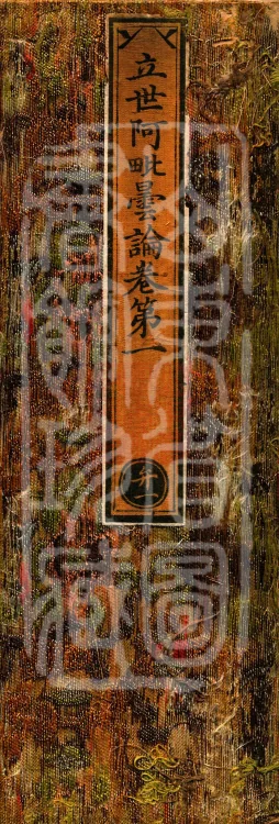 Established-World Abhidharma Treatise, Ten Volumes Page 1