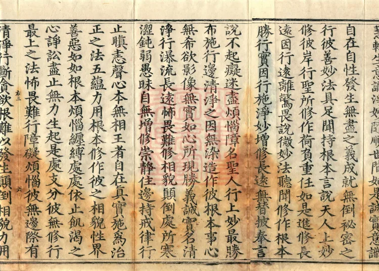 Bodhisattva Birth-Garland Treatise, sixteen fascicles Page 10