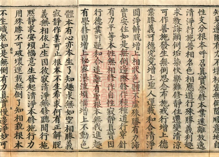 Bodhisattva Birth-Garland Treatise, sixteen fascicles Page 8