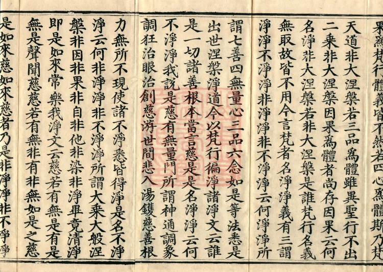 Commentary on the Mahaparinirvana Sutra, eighteen fascicles Page 3