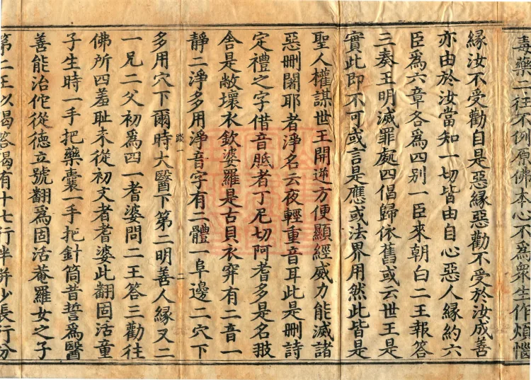 Commentary on the Mahaparinirvana Sutra, eighteen fascicles Page 5