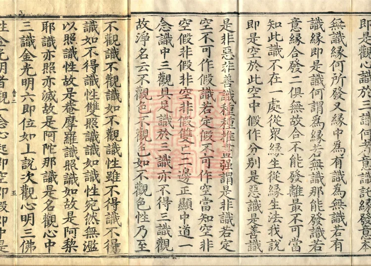 Golden Light Sutra Profound Meaning, Two Volumes Page 8
