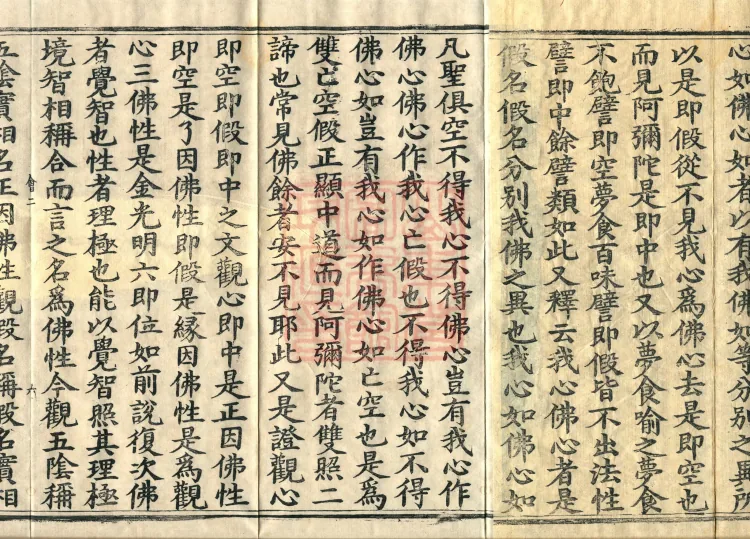 Golden Light Sutra Profound Meaning, Two Volumes Page 10