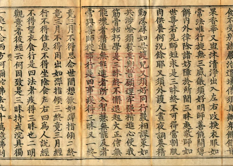 Commentary on the Treatise on Observing the Mind, five juan Page 8