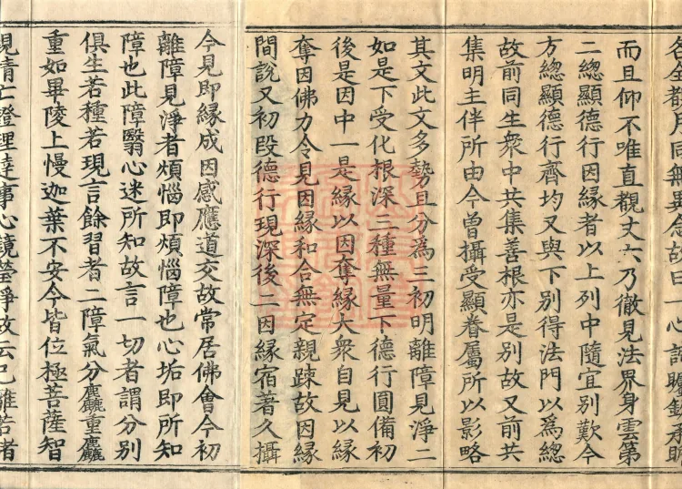 Commentary on the Avataṃsaka Sutra in Sixty Volumes Page 3