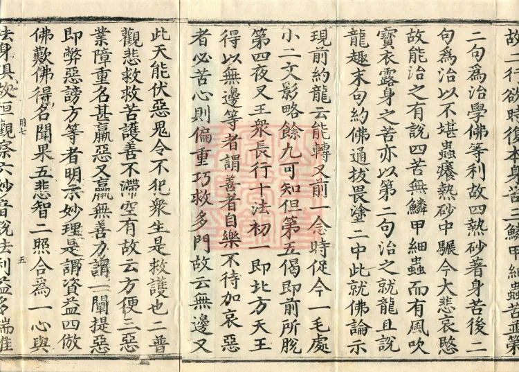 Commentary on the Avataṃsaka Sutra in Sixty Volumes Page 8