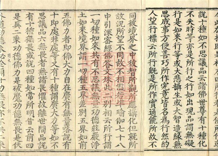 Commentary on the Avataṃsaka Sutra in Sixty Volumes Page 10