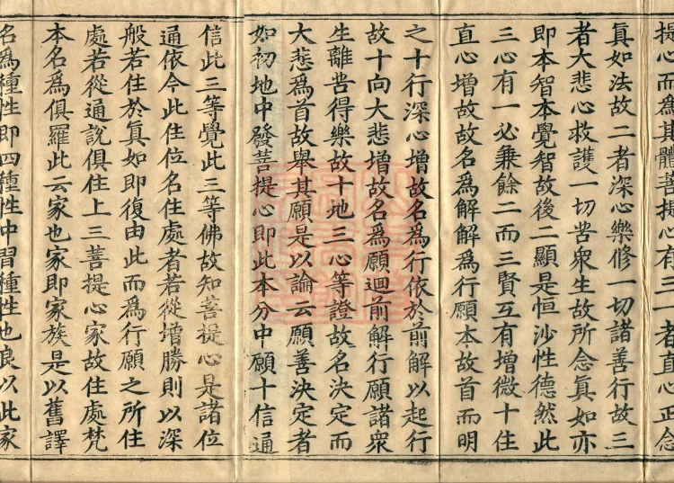 Commentary on the Avataṃsaka Sutra in Sixty Volumes Page 3