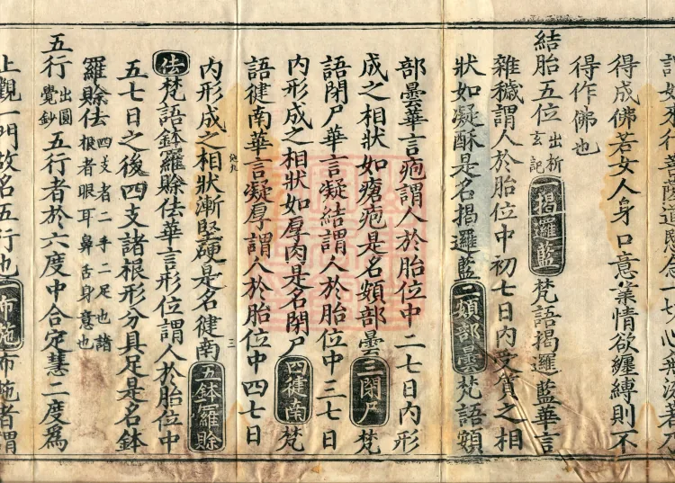 The Great Ming Tripitaka Numerical Catalogue, thirty-eight juan Page 5