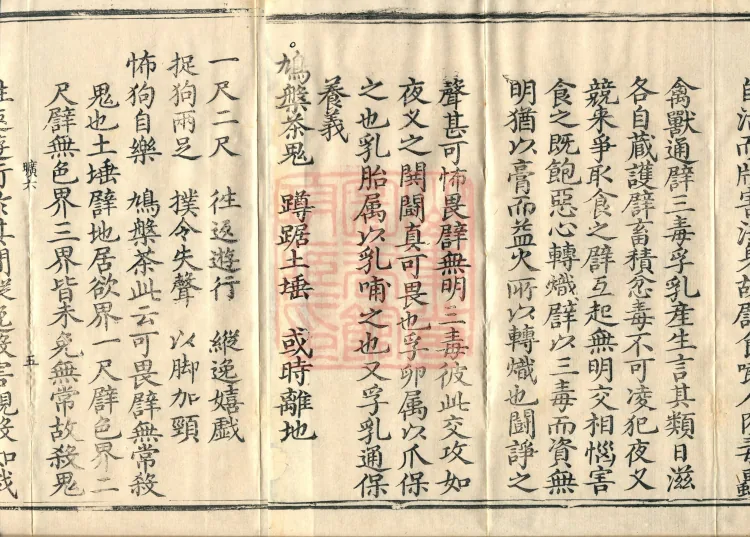 Essential Commentary on the Lotus Sutra, Nineteen Volumes Page 8