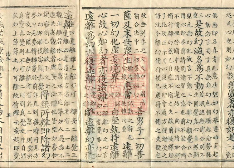 Notes on the Concise Commentary on the Sutra of Perfect Enlightenment, Thirty Juans Page 8