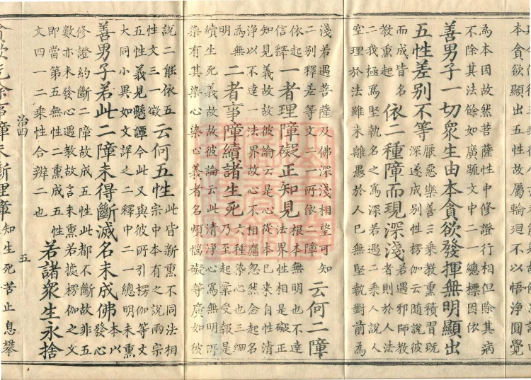 Notes on the Concise Commentary on the Sutra of Perfect Enlightenment, Thirty Juans Page 8