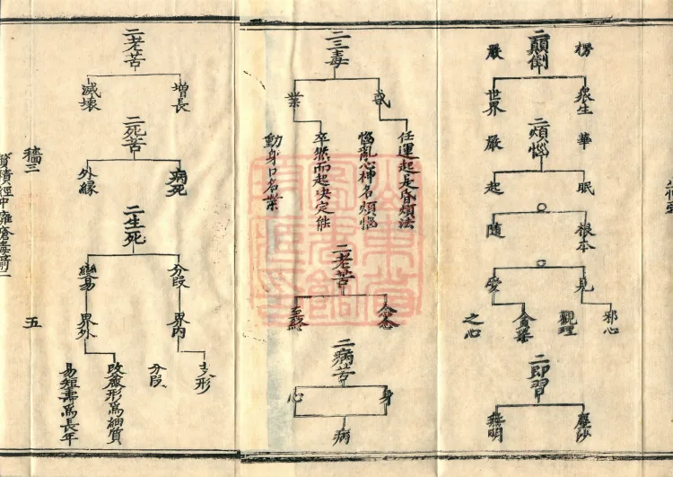 Teachings on the Vehicle: Dharma Numbers, forty fascicles Page 8