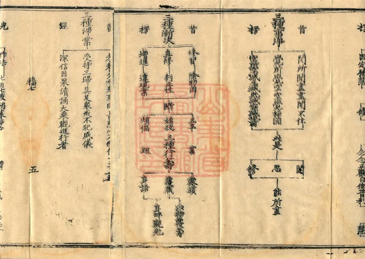 Teachings on the Vehicle: Dharma Numbers, forty fascicles Page 8