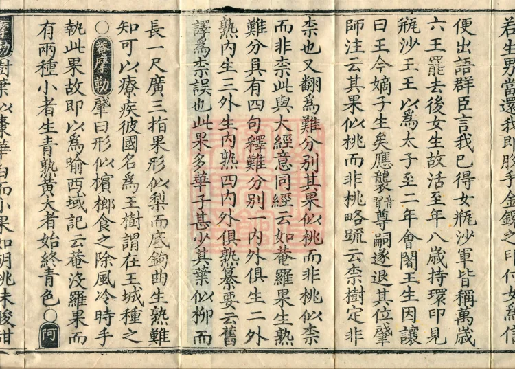 Collection of Translated Names (Twenty Volumes) Page 3