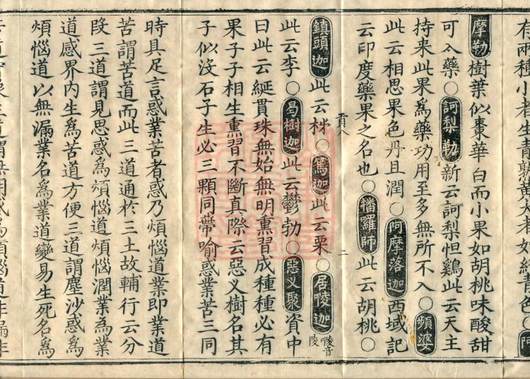 Collection of Translated Names (Twenty Volumes) Page 4