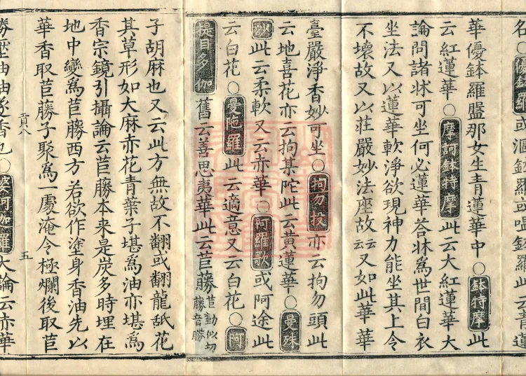 Collection of Translated Names (Twenty Volumes) Page 8