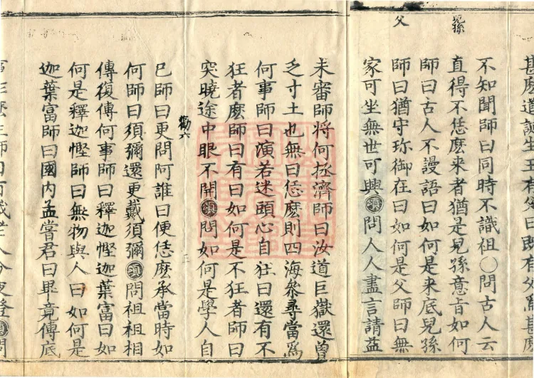 Orthodox Lineage of the Chan School (Twenty Volumes) Page 5