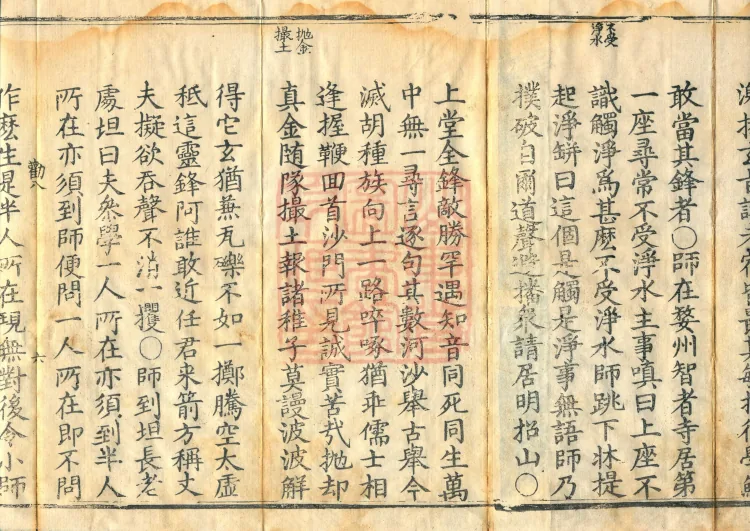 Orthodox Lineage of the Chan School (Twenty Volumes) Page 10
