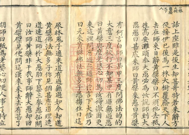 Orthodox Lineage of the Chan School (Twenty Volumes) Page 5