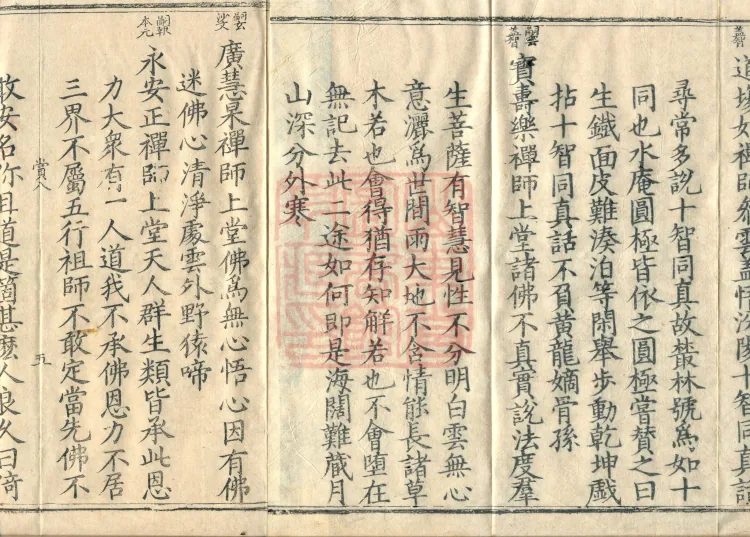 Orthodox Lineage of the Chan School (Twenty Volumes) Page 8